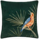 Paoletti Odisha Exotische Vogel Geborduurd Polyester Gevuld Kussen - Smaragd - 45x45cm