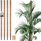 KOTARBAU® 4 st Kokosstok, Plantenstok, ⌀ 3,2 x 150 cm, Kokosstaaf, Klimhulp Monstera, Bruin, Kokosvezel