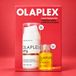 Olaplex Iconic Stylers Set - N°6 Bonding Smoother 100 ml & N°7 Bonding Oil 30 ml