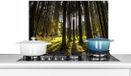 KitchenYeah Spatscherm keuken 60x40 cm - Kookplaat achterwand Boom - Natuur - Zon - Bos - Muurbeschermer - Spatwand fornuis - Hoogwaardig aluminium