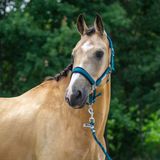 Horka HALSTER SET CLASSIC DELIGHT | Pony Blauw Polyester
