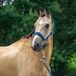 Horka HALSTER SET CLASSIC DELIGHT | Pony Blauw Polyester