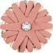 PFERD TOOLS 42732109 Schuurster Diamètre 70 mm 10 pièce(s)