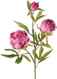 Top Art Kunstbloem pioenroos Spring Dream - roze - 73 cm