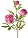 Top Art Kunstbloem pioenroos Spring Dream - roze - 73 cm