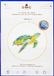 DMC Ocean Blue Kit-rustige schildpad met hoepel, diverse