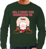 Bellatio Decorations Foute Kersttrui / sweater voor heren - All I Want is - groen - blote kont - kerstman S