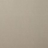 Florence Cardstock Papier - Gladde Afwerking - A4 - Grijs - 216 grams - 10 vellen