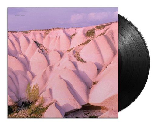 Autechre Amber -Gatefold/Download- (LP)