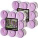Conpax Candles Geur theelichtjes/waxinelichtjes - 36x - Lavender aroma - 4,5 branduren