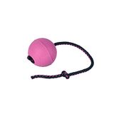 DINGO BIBI Bal 30 cm handvat drijvend op water gevuld rubber hondenspeelgoed met koord getrokken door de binnenkant voor hondentraining ophalen behendigheid beloning plezier bosbes 17255