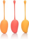 CalExotics Kegel Training Set Mango