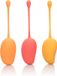 CalExotics Kegel Training Set Mango