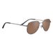 Serengeti Haywood SS543006 Shiny Gunmetal Non Polarized Drivers