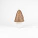 Egmont Toys Lamp Paddenstoel Klein Chocolade