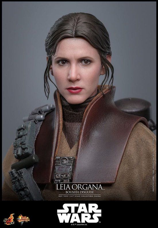 Hot Toys Star Wars Episode VI Action Figure 1/6 Leia Organa (Boushh Disguise) 27 cm