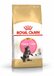Royal Canin Breed Royal Canin Maine Coon Kitten - 10 kg - Kitten-Kattenvoer