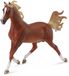 Collecta Figurine - Cheval arabe - 1:12