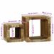 vidaXL TV-eenheden 2 stuks Bruin 36 x 30 x 36 cm Massief Mango Hout