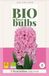 Jub Hyacinthus Pink Pearl 3st JUB