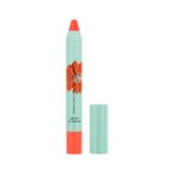 Max Factor X Priyanka Chopra Jonas Lippenstift, 004, Orange Grace, matte afwerking, hydraterend, langdurig