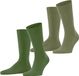 Burlington Everyday 2-Pack eenkleurig katoen multipack sokken heren groen - maat 40-46