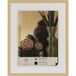 Henzo Artos Fotolijst 40x50 cm Beige