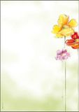 Sigel A4 Kopieer- en printpapier, 90 g/m², Multi-kleur/Wit