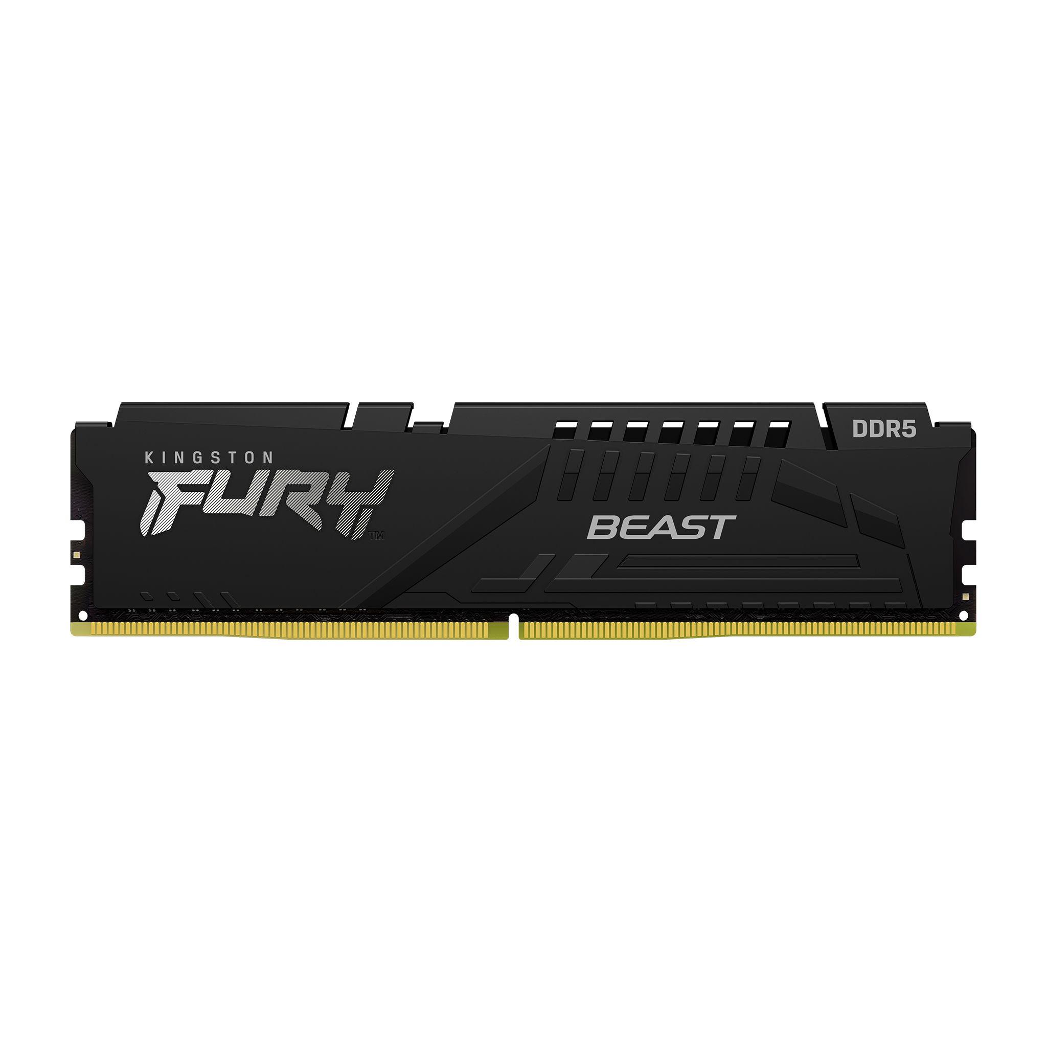 Kingston FURY Beast 8GB (1x8GB) DDR5 5600MHz - PC/Server Memory