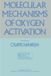 Molecular Mechanisms of Oxygen Activation