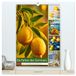 Die Calvendo Die Farben des Sommers Wandkalender 2027 DIN A2 hoch