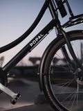 Popal Daily Dutch Prestige N3 Transportfiets Dames 47cm Mineral Green