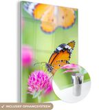 MuchoWow® Glass Painting 120x160 cm - Acrylic Glass Painting - Insects - Butterflies - Flowers - Photo on Glass - Paintings