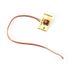 FTX Buzzsaw Xtreme Switch