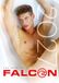 The Falcon Studios The Men of Falcon 2027