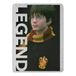 Northwest Harry Potter Micro Raschel plaid deken, 46 "x 60", legende
