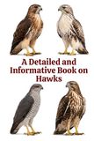 A Icecat A Detailed and Informative Book on Hawks