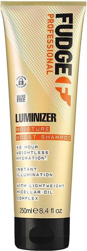 Fudge Luminizer Moisture Boost Shampoo 250 ml - For All Hair Types