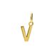 Lucardi Dames 14 karaat gouden letter hanger alfabet - Hanger - 14 Karaat Goud - Goud