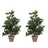 Mica Decorations Kunstplant tropische Ficus - 2x - groen - 65 cm