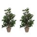 Mica Decorations Kunstplant tropische Ficus - 2x - groen - 65 cm