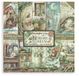 Stamperia Herbarium Silvae 12x12 Inch Scrapbook Papier