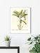 Komar Muurschildering - Rainforest Sapling - Grootte: 50 x 70 cm - Poster, kunstdruk, decoratie, woonkamer, slaapkamer (zonder lijst)