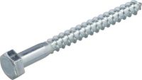 Hoenderdaal Fasteners Hoenderdaal Houtdraadbouten - DIN571 Zeskant - M6 x 25mm - Verzinkt (200 stuks)