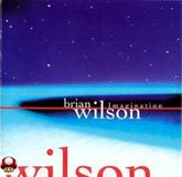 Imagination Brian Wilson - Imagination