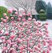 Susan Entwistle Art Winter Viburnum wenskaarten, 15 cm x 15 cm, veelkleurig, 6-delig