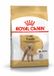 Royal Canin Breed Poodle Alimentation Chien 7