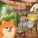 Nova's Time Mix Up: A Bilingual Children's Book in English and Italian (Nova the Pomeranian Series)