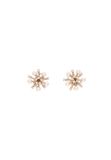 NAEMI Leo E-Commerce Ltd. NAEMI Oorbellen goud / transparant / wit