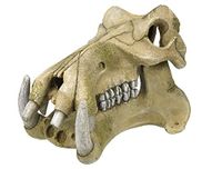 Nobby Aqua Ornaments rivierkull
